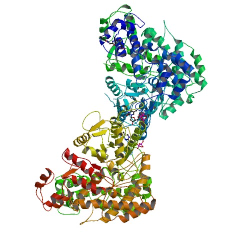 4X3V Structure