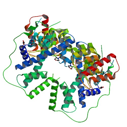 5JA4 Biological Assembly