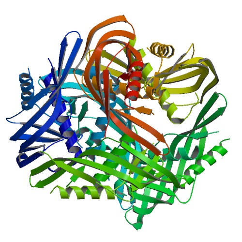 5TOD Biological Assembly 7