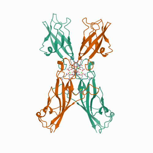 5ULY Crystal Structure of Human Protocadherin-15 EC2-