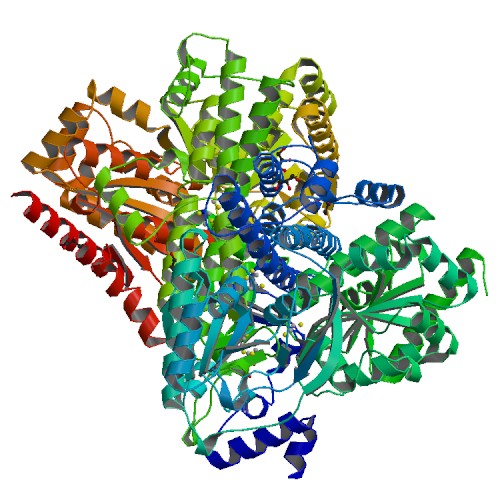 Crystal structure of Desulfovibrio vulgaris carbon monoxide dehydrogenase, as-isolated (protein batch 1), canonical C-cluster Crystal structure of Desulfovibrio vulgaris carbon monoxide dehydrogenase, as-isolated (protein batch 1), canonical C-cluster