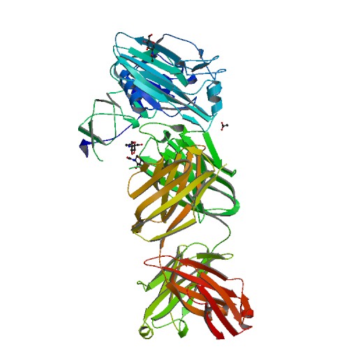 Human antibody H2214 in complex with influenza hemagglutinin A/Aichi/2/1968 (X-31) (H3N2) 6E56