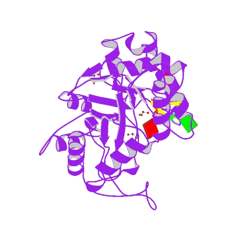 Structure of mouse RECON (AKR1C13) in complex with cyclic AMP-AMP-GMP (cAAG) Structure of mouse RECON (AKR1C13) in complex with cyclic AMP-AMP-GMP (cAAG)