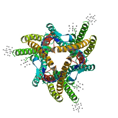 Crystal structure of the high-affinity copper transporter Ctr1