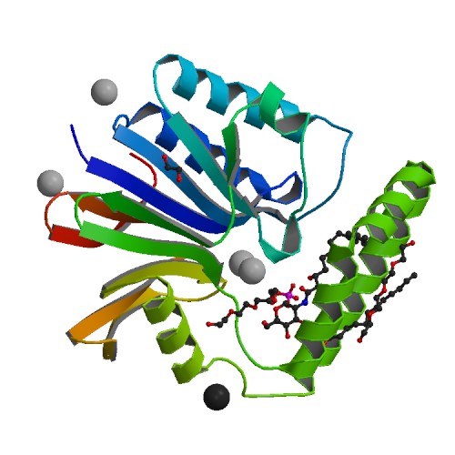 6PH9 Crystal Structure of the Klebsiella pneumoniae LpxH-lipid X complex