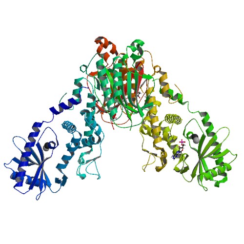 Structure of E. coli MS115-1 CdnC:HORMA-deltaN complex 6U7B
