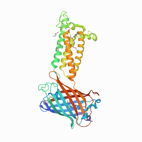 Human VKOR with warfarin 6WV3