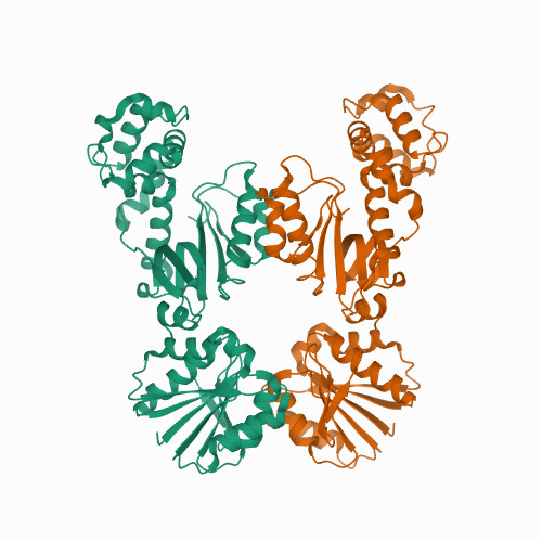 Crystal structure of apo Card1 Crystal structure of apo Card1