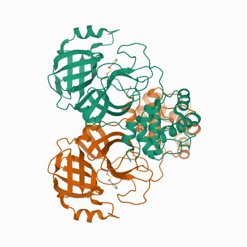 Crystal structure of SARS-CoV-2 3CL protease in complex with MAC5576