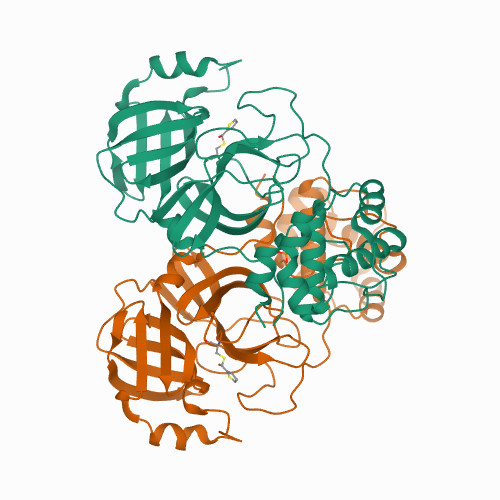 Crystal structure of SARS-CoV-2 3CL protease in complex with MAC5576 Crystal structure of SARS-CoV-2 3CL protease in complex with MAC5576
