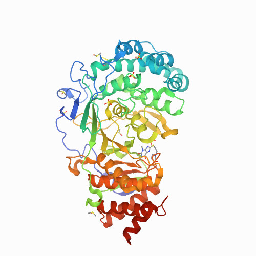 Structure of human PARG complexed with PARG-292 Structure of human PARG complexed with PARG-292, 7KG7