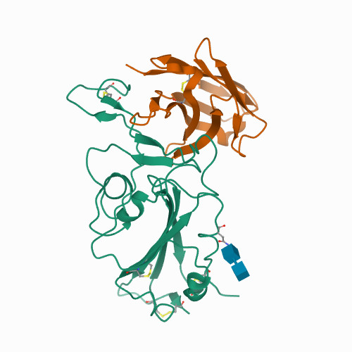 7KM5 Crystal structure of SARS-CoV-2 RBD complexed with Nanosota-1