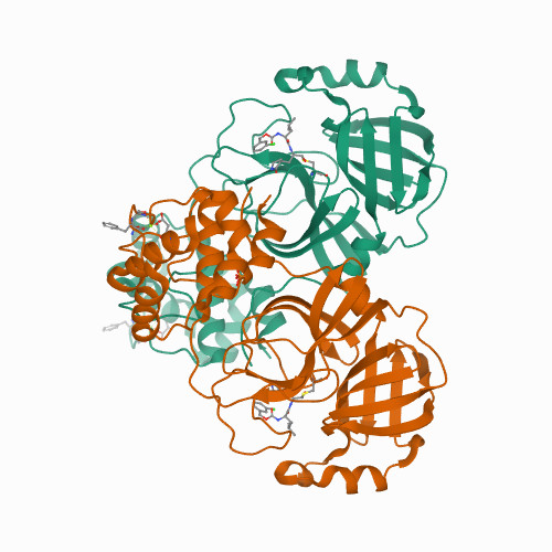 Crystal structure of SARS-CoV-2 3CL in complex with inhibitor EB46