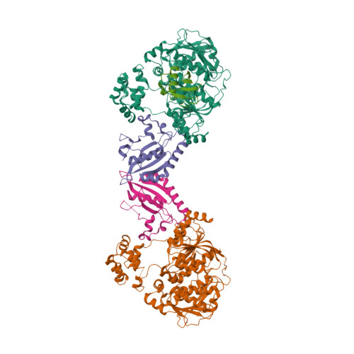 Structure of a bacterial E1-E2-Ubl complex (form 1) 8TZ0, Structure of a bacterial E1-E2-Ubl complex (form 1)