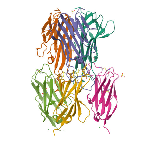 X-ray crystal structure of TNFa-VNAR C4 complex 9BN7, X-ray crystal structure of TNFa-VNAR C4 complex