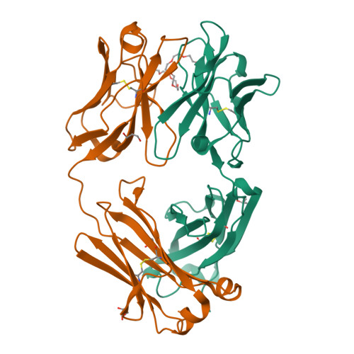 Crystal structure of the SARS-CoV-2 NTD-targeted neutralizing antibody WRAIR-2039 9ECY, Crystal structure of the SARS-CoV-2 NTD-targeted neutralizing antibody WRAIR-2039