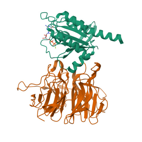 Crystal structure of RIT1(GDP) bound to LZTR1(Kelch domain) 9MEY, Crystal structure of RIT1(GDP) bound to LZTR1(Kelch domain)