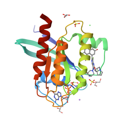 9O0O, Crystal structure of GMPPNP-bound wild type KRAS in complex with MRTX1133