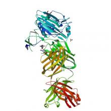 Human antibody H2214 in complex with influenza hemagglutinin A/Aichi/2/1968 (X-31) (H3N2) 6E56