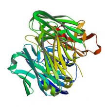 Crystal structure of ZIKV-116 Fab in complex with ZIKV envelope DIII