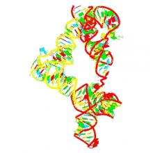 Co-crystal structure of M. tuberculosis ileS T-box in complex with tRNA-3'-OH