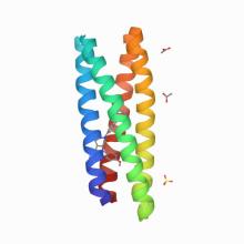 Crystal Structure of apixaban-bound ABLE 6W70