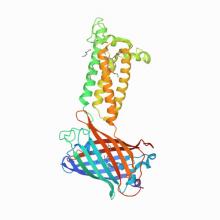Human VKOR with warfarin 6WV3