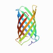 6X9Z PDB Structure