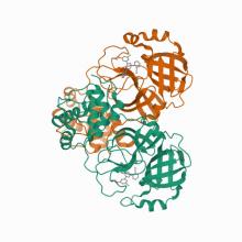 CRYSTAL STRUCTURE OF THE SARS-COV-2(2019-NCOV) MAIN PROTEASE IN COMPLEX WITH COMPOUND 5