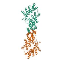 Crystal structure of NPR1