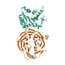 Crystal structure of human METTL1 and WDR4 complex