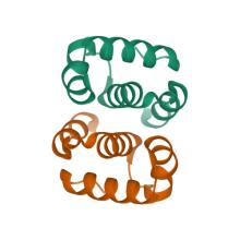 Hallucinated C2 protein assembly HALC2_068
