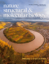 Cover of Nature Structure & Molecular Biology for February 2017 Cover of Nature Structure & Molecular Biology for February 2017